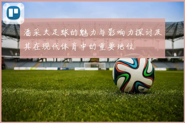 潘采夫足球的魅力与影响力探讨及其在现代体育中的重要地位