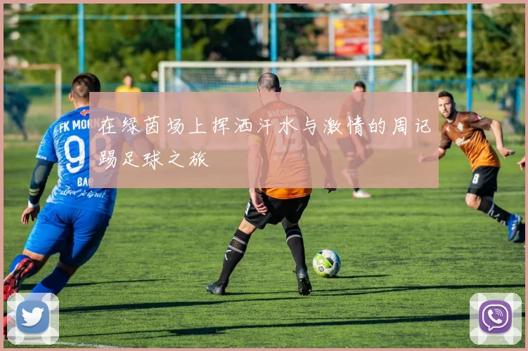 在绿茵场上挥洒汗水与激情的周记踢足球之旅