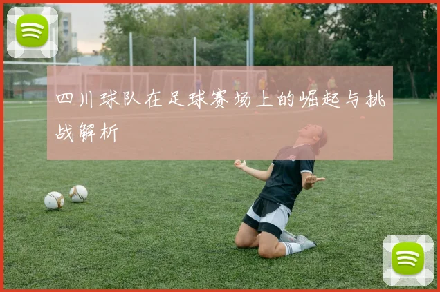 四川球队在足球赛场上的崛起与挑战解析